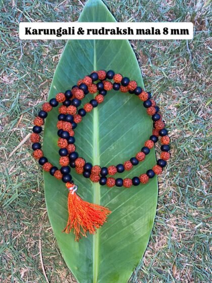 Karungali and Rudraksh Mala 7 mm