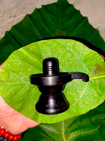 3 inch Shivling Karungali